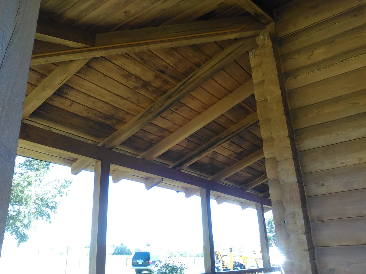 Log home mold removal