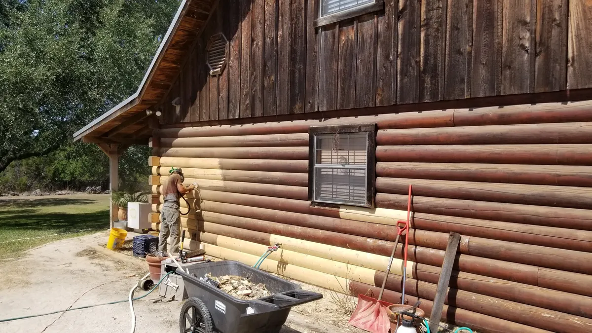Log home mold removal