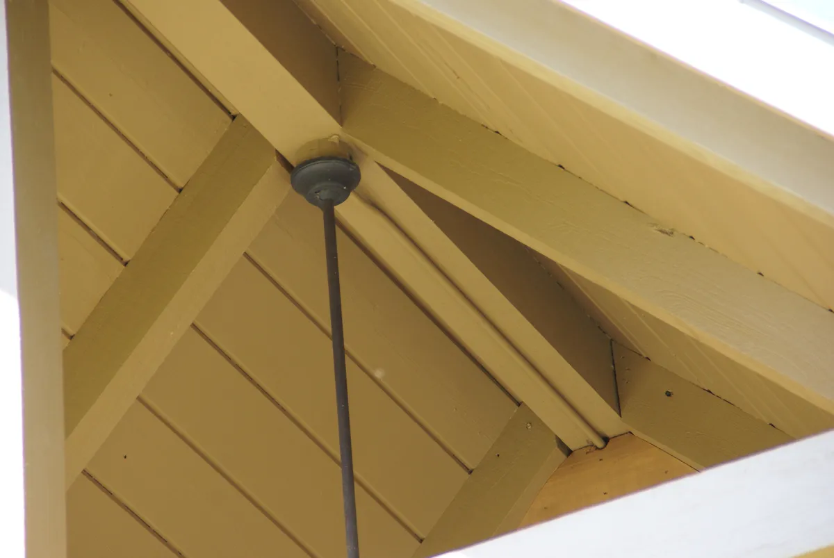 Log home mold removal