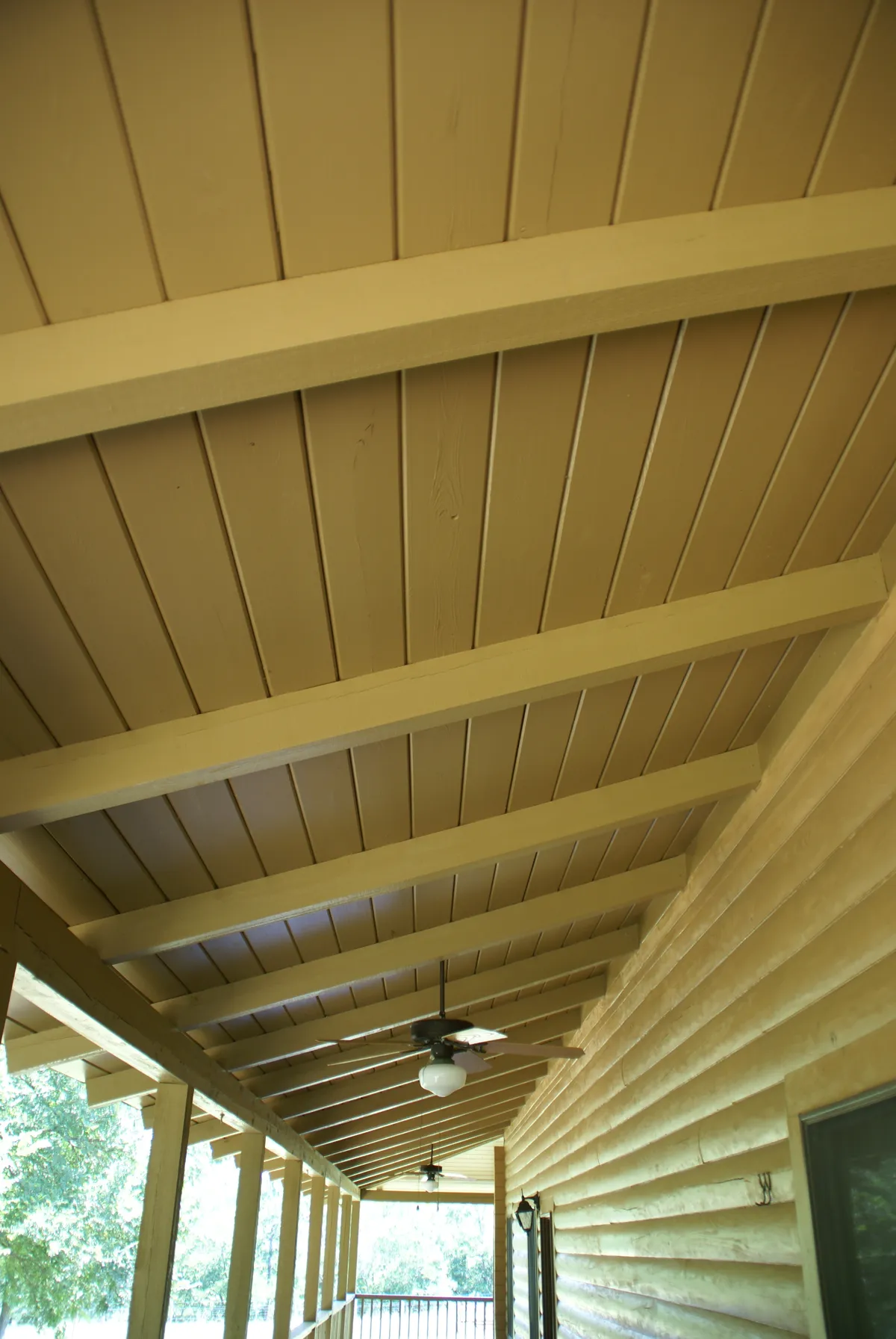 Log home mold removal