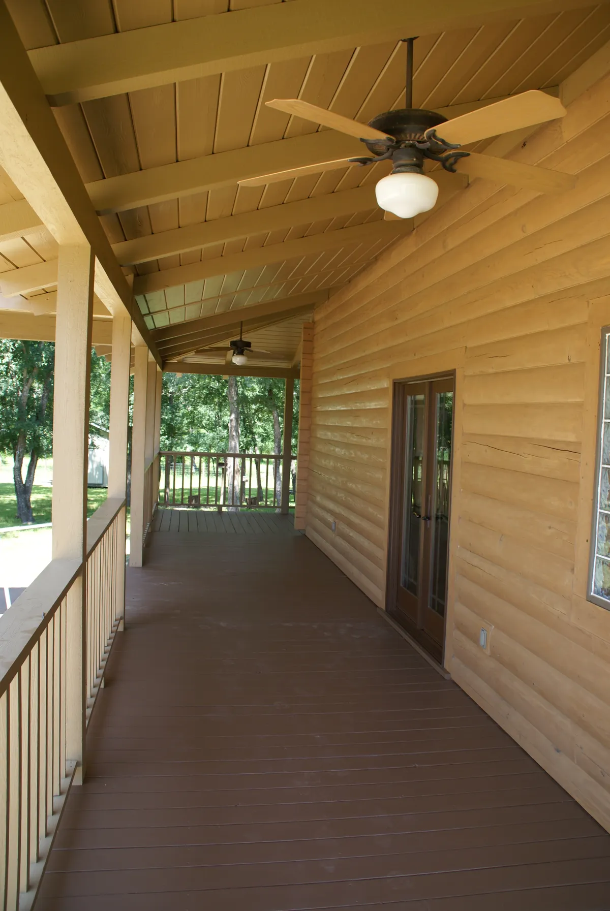 Log home mold removal