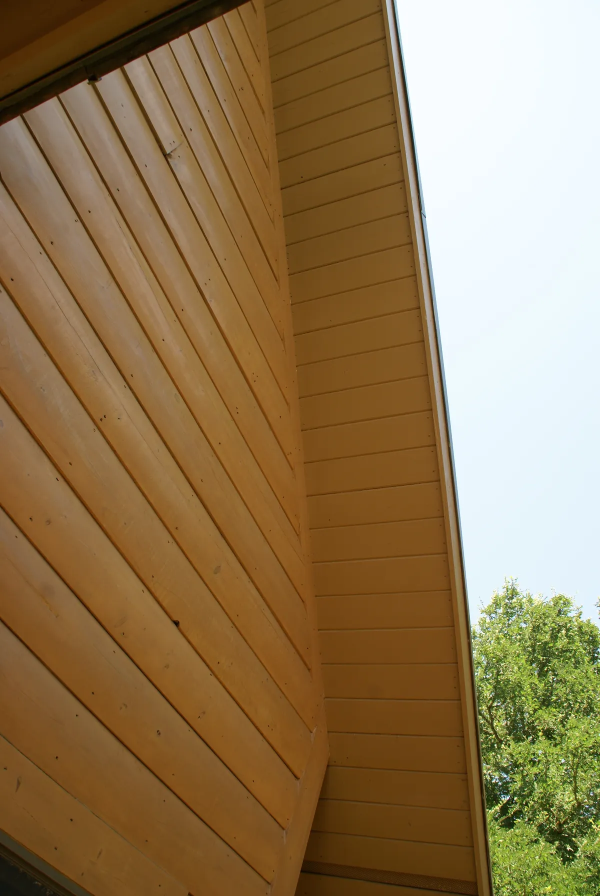 Log home mold removal