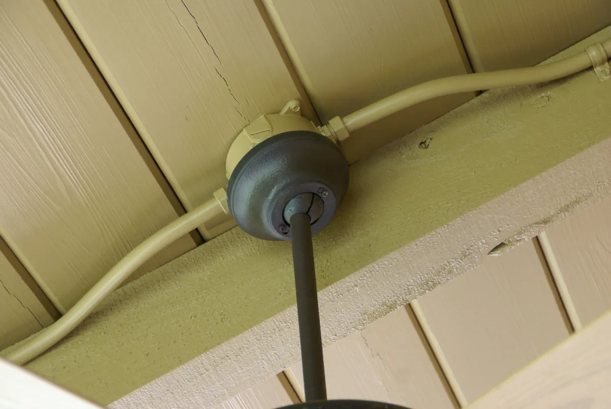 Log home mold removal
