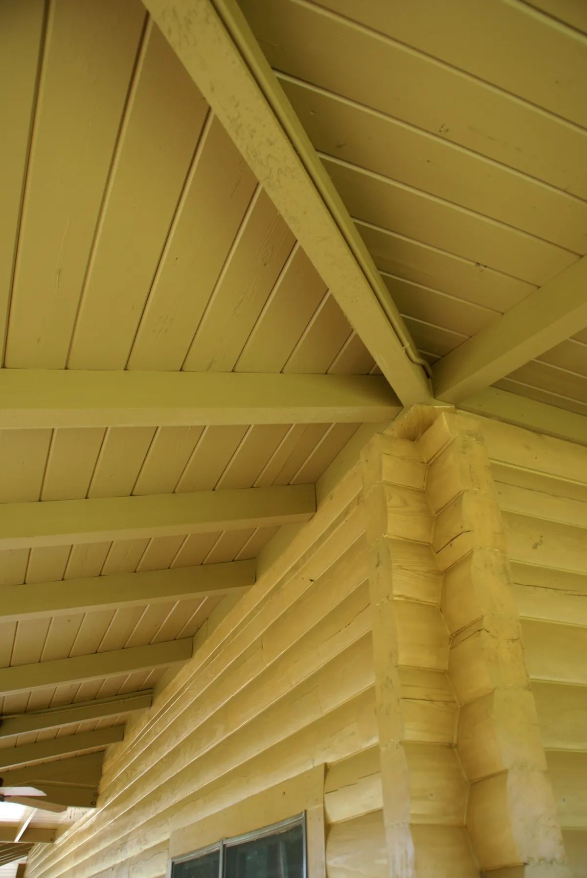 Log home mold removal