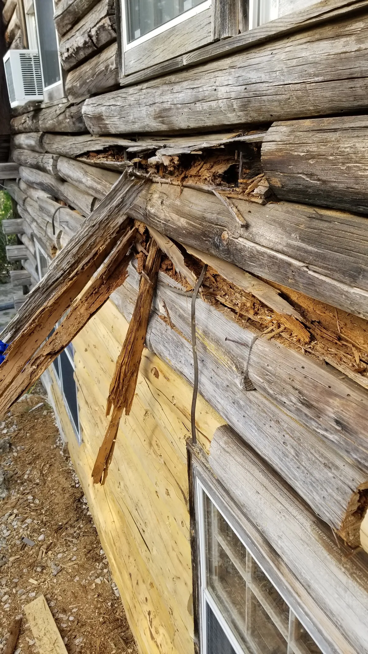 Log home rot damage