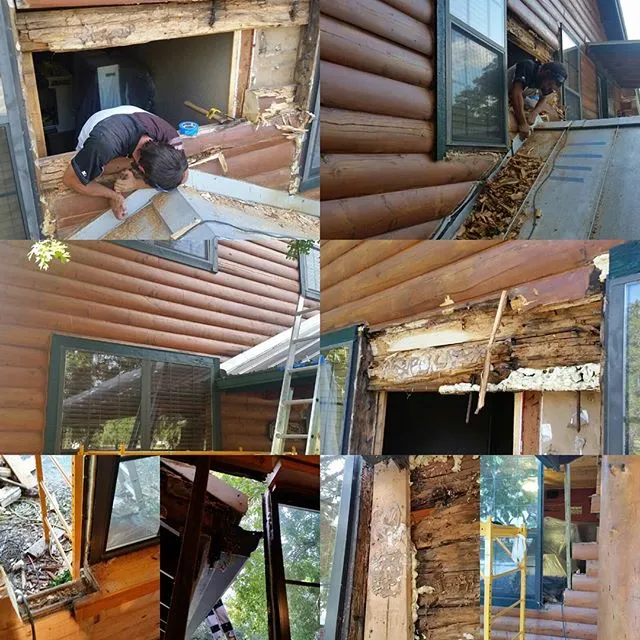 Log home rot damage