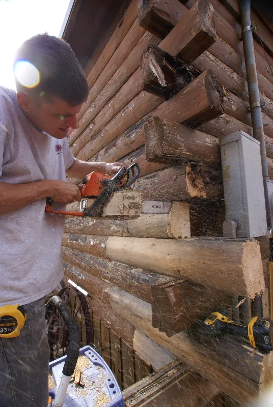 Log home rot damage