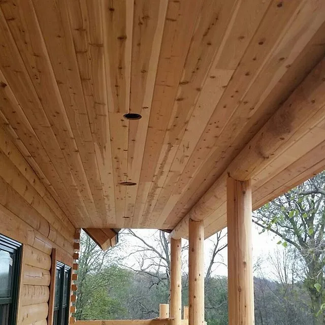 Log home wood species