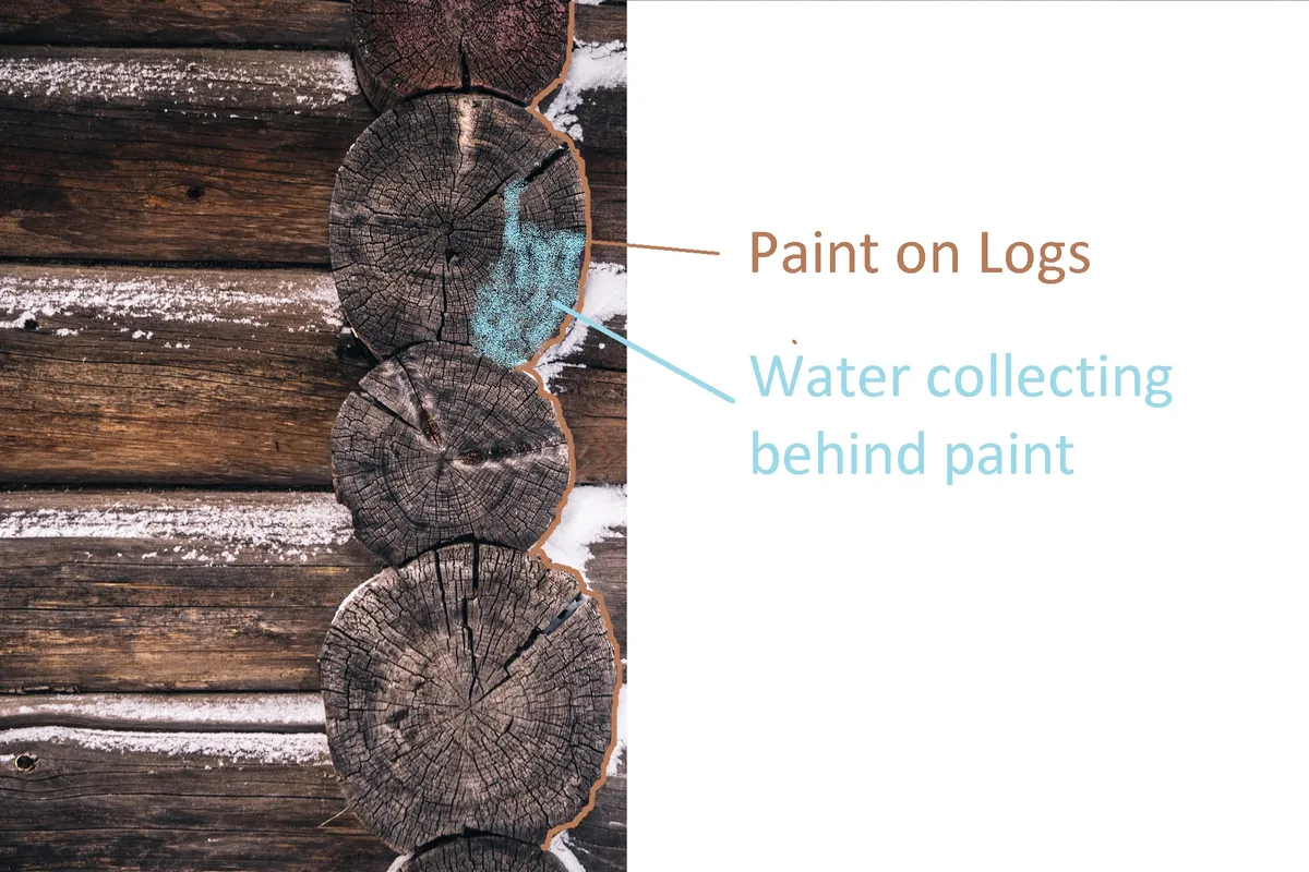 Painted log home