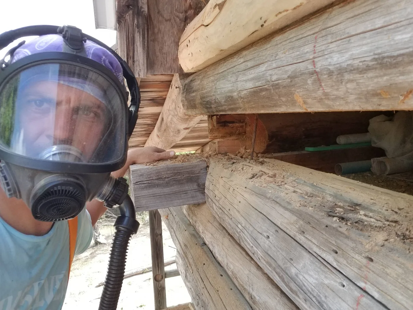 Log walls stripped to clean bare wood after media blasting